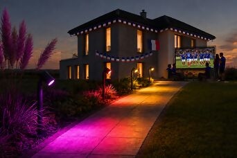 lsf-wm26-text-auf-bild-spot-way-24v-rgb.jpg