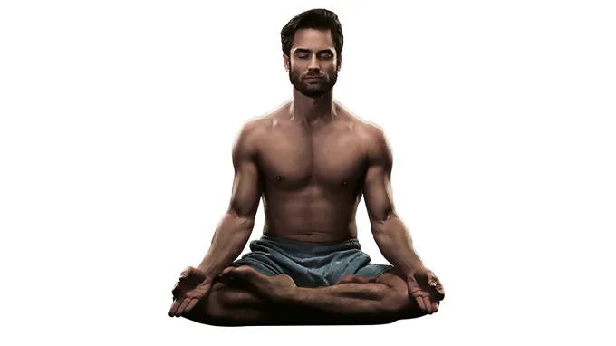 yogi-true-presence.jpg.webp
